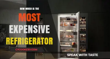 Luxury Cooling: The Price Tag of the World's Priciest Fridge