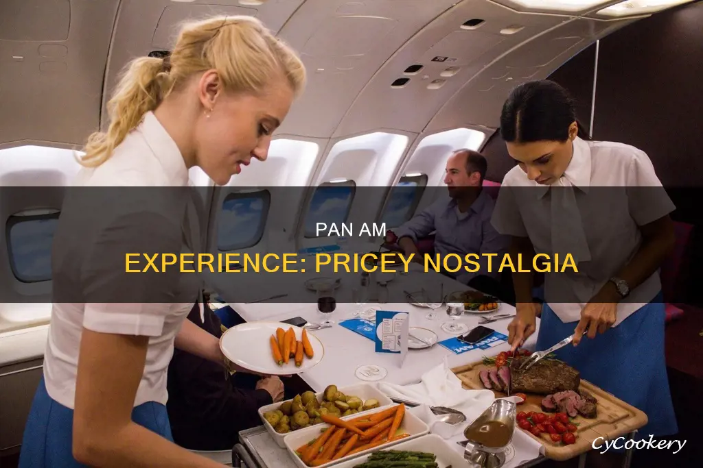 how much is the pan am experience