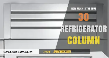 True 30 Refrigerator Column: Unveiling the Real Cost and Value