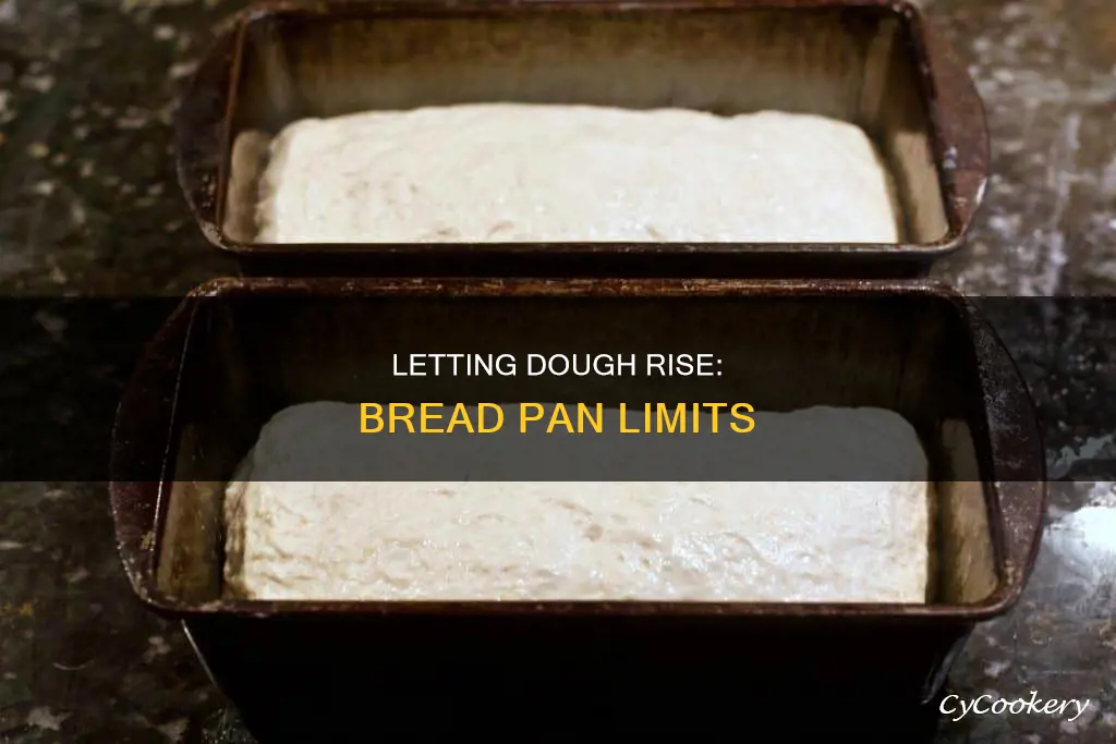 how much let dough rise in bread pan