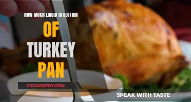 Turkey Pan Liquid: How Much is Too Much?