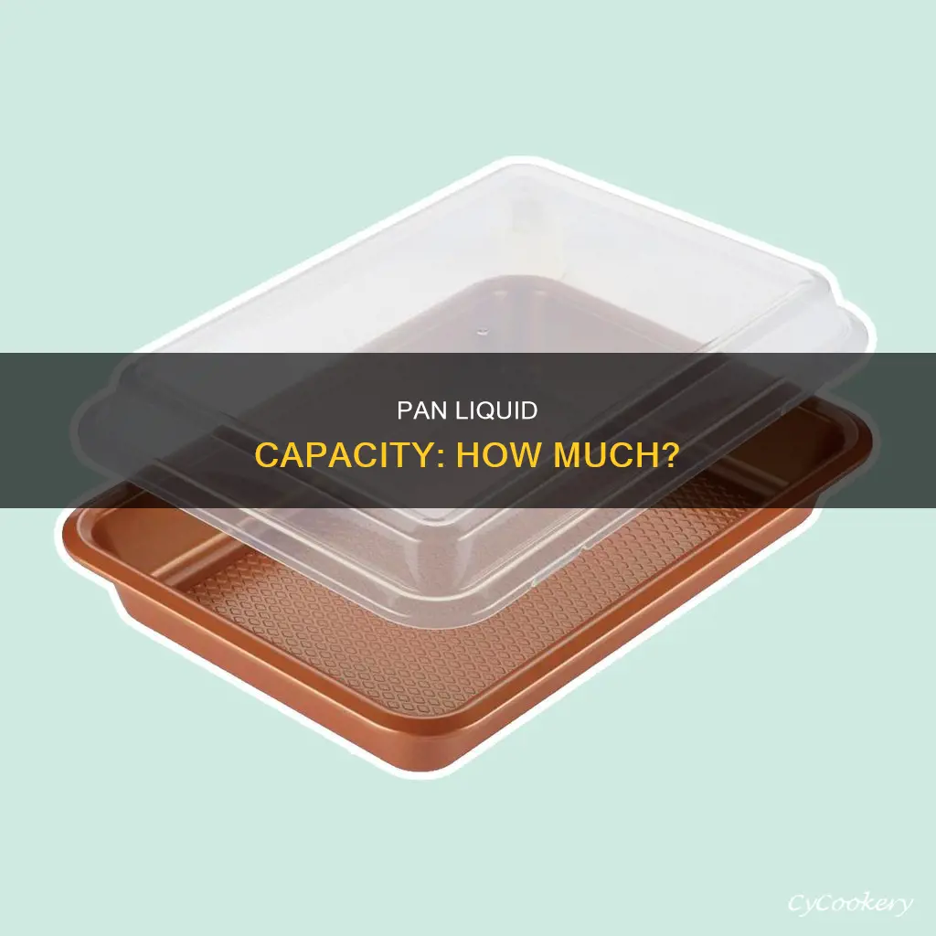 how much liquid will fit into a 13x9 pan