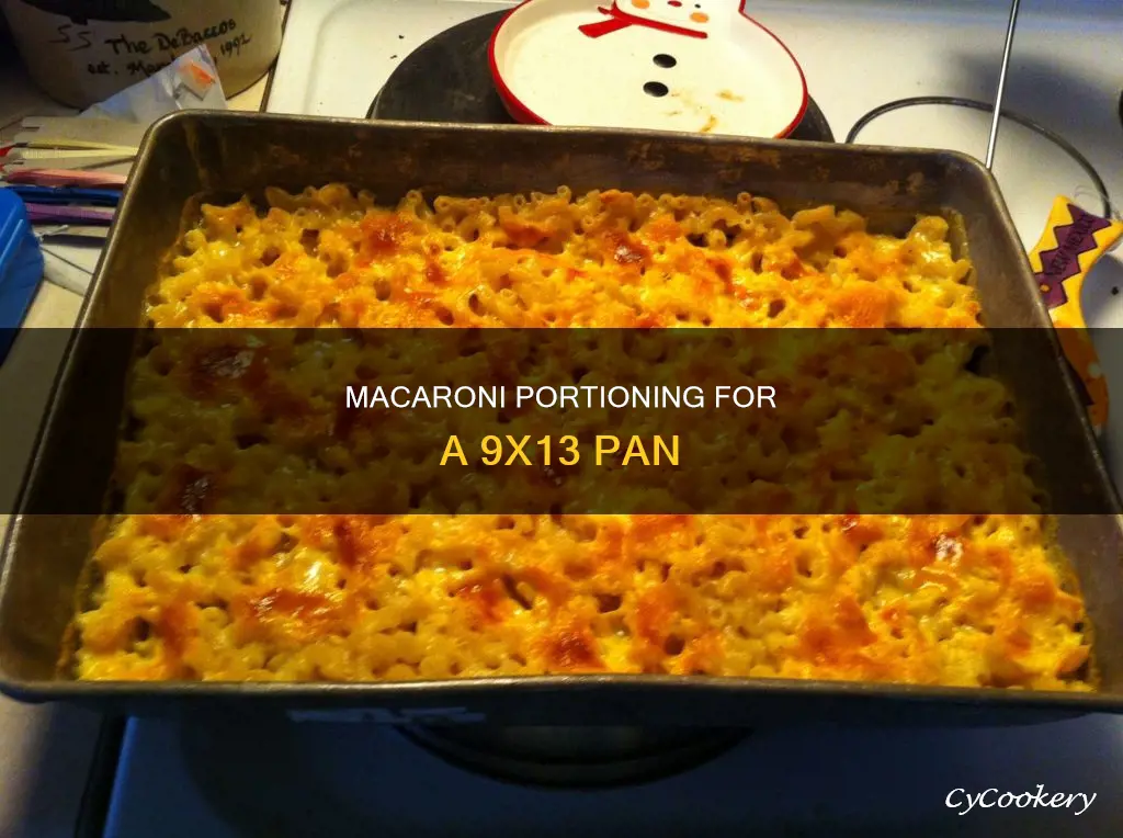 how much macaroni for 9x13 pan