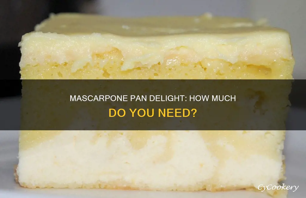 how much marscapone for a 9x13 pan