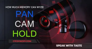 Wyze Pan Cam: How Much Memory?