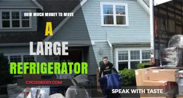 Cost Guide: Moving a Large Refrigerator Safely and Efficiently