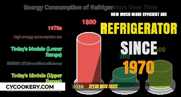 Refrigerator Efficiency Evolution: Comparing 1970 Models to Modern Energy Savers