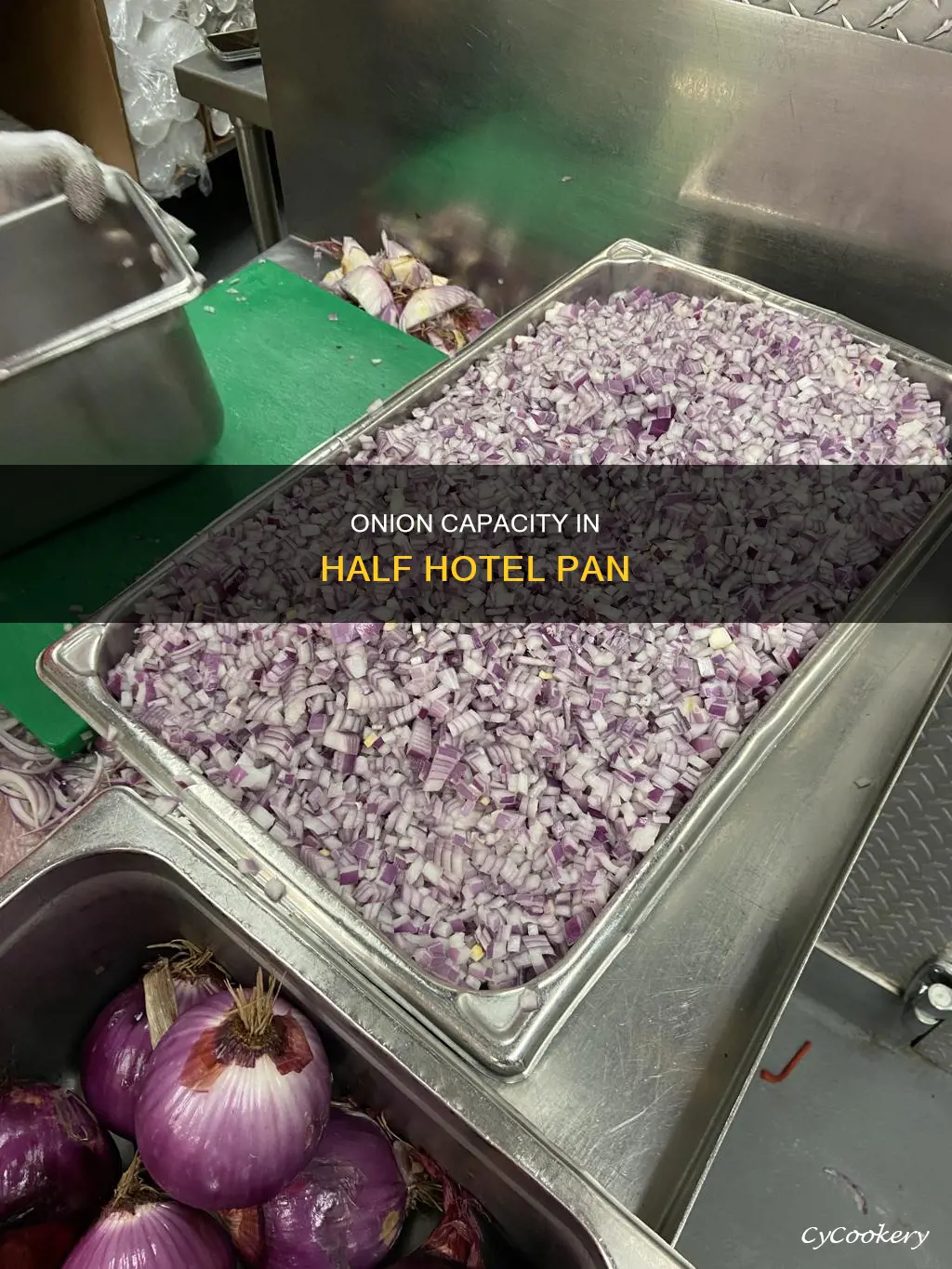 how much onion fits in a half hotel pan