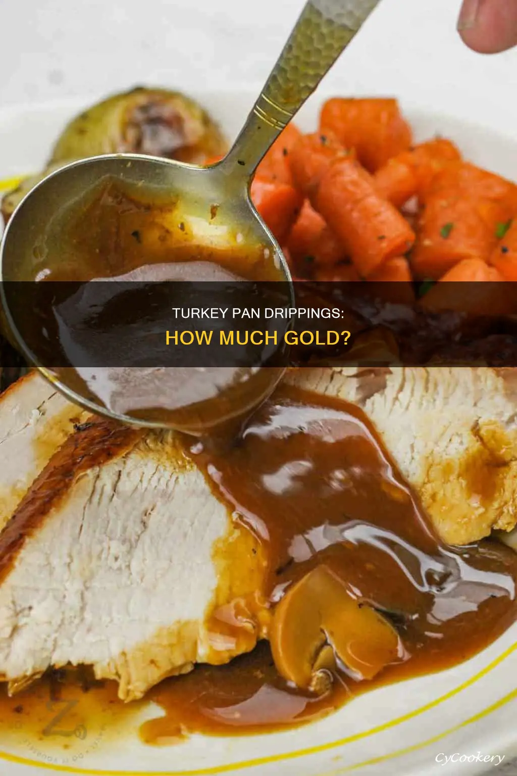 how much pan drippings from turkey