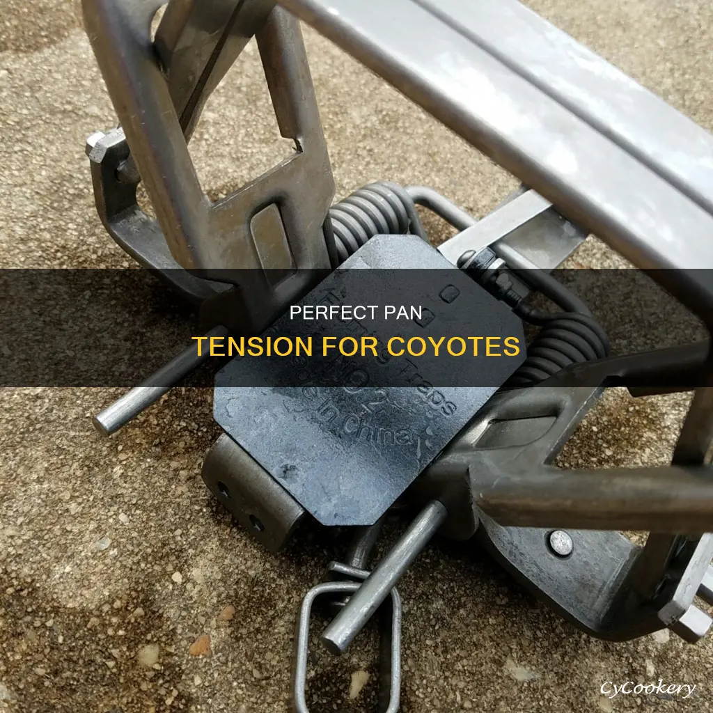 how much pan tension for a coyote