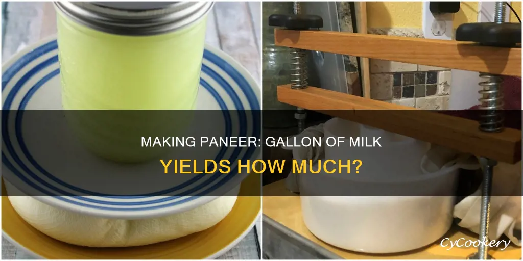 how much paneer can be made from 1 gallon milk