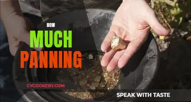 Panning for Gold: How Much is Enough?