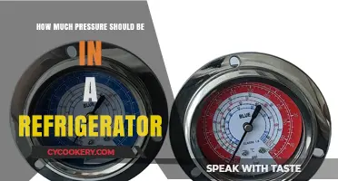 Optimal Refrigerator Pressure: Ensuring Efficiency and Food Safety at Home
