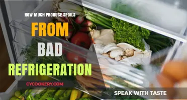 Preventing Food Waste: The Impact of Poor Refrigeration on Produce Spoilage