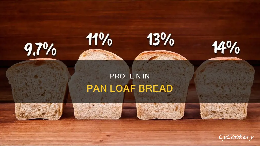 how much protein is in whole pan loaf bread