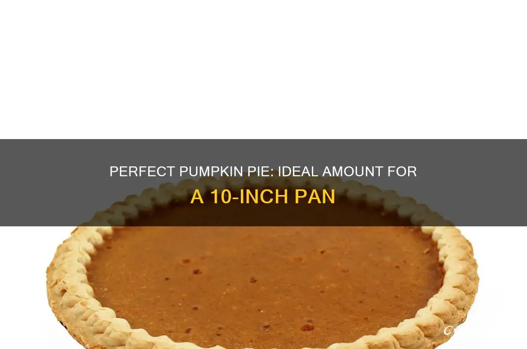 how much pumpkin to use for a 10 pie pan