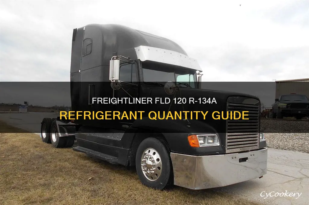 how much r 134a refrigerant freightliner fld 120