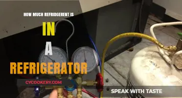 Understanding Refrigerant Levels in Your Home Refrigerator: A Guide
