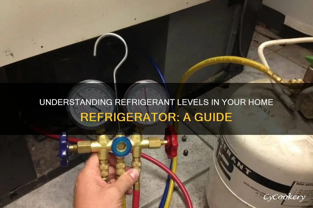 how much refridgerent is in a refrigerator