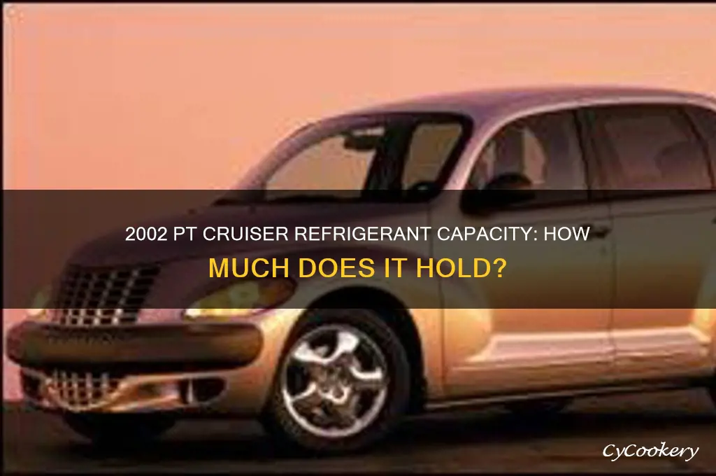 how much refrigerant does 2002 pt cruiser hold