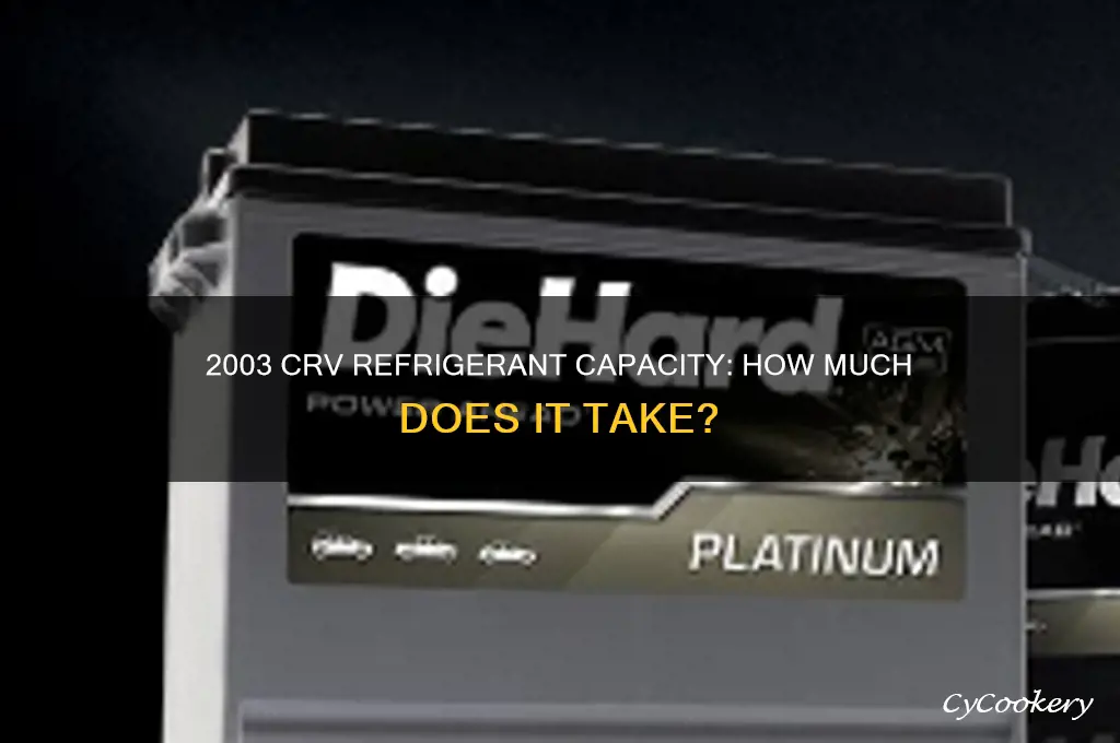 how much refrigerant does 2003 crv take