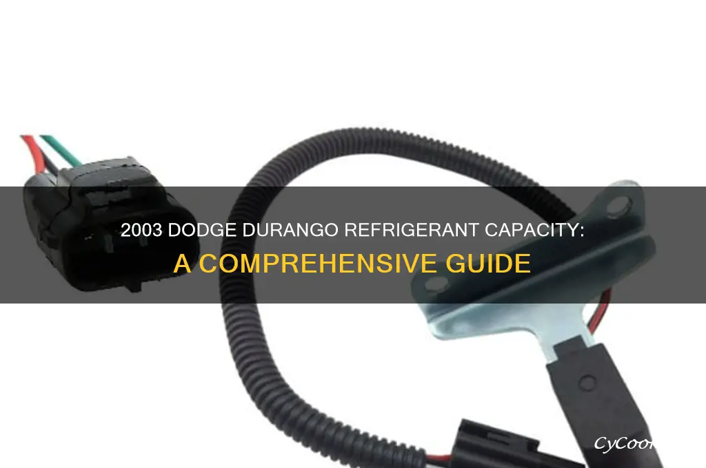 how much refrigerant does 2003 dodge durango take
