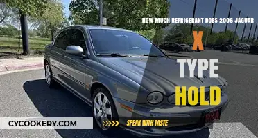2006 Jaguar X-Type Refrigerant Capacity: A Comprehensive Guide