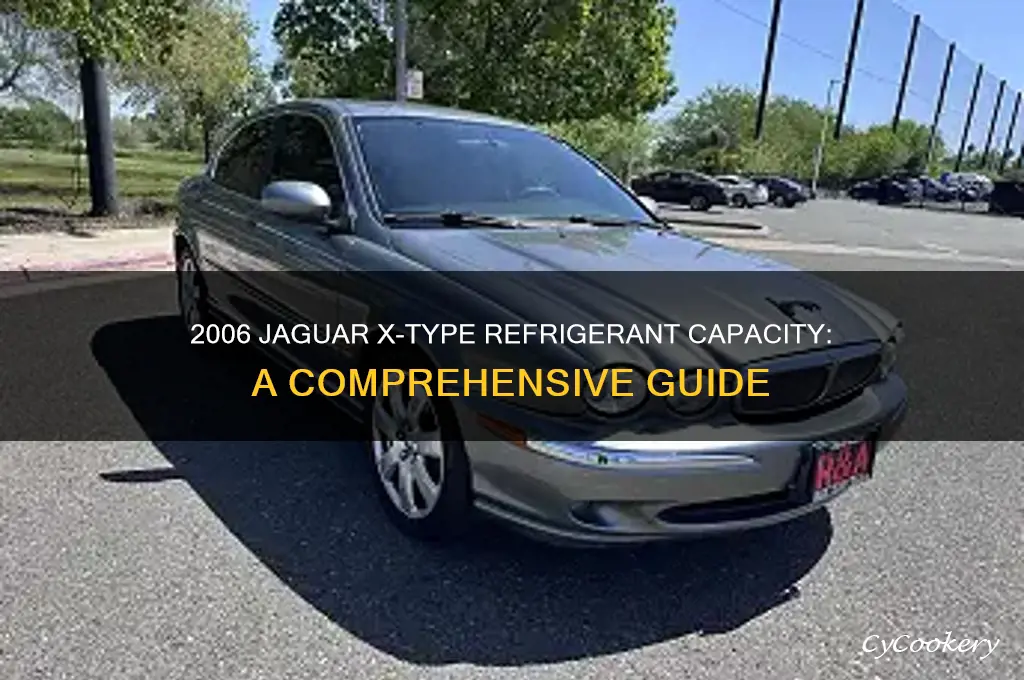 how much refrigerant does 2006 jaguar x type hold