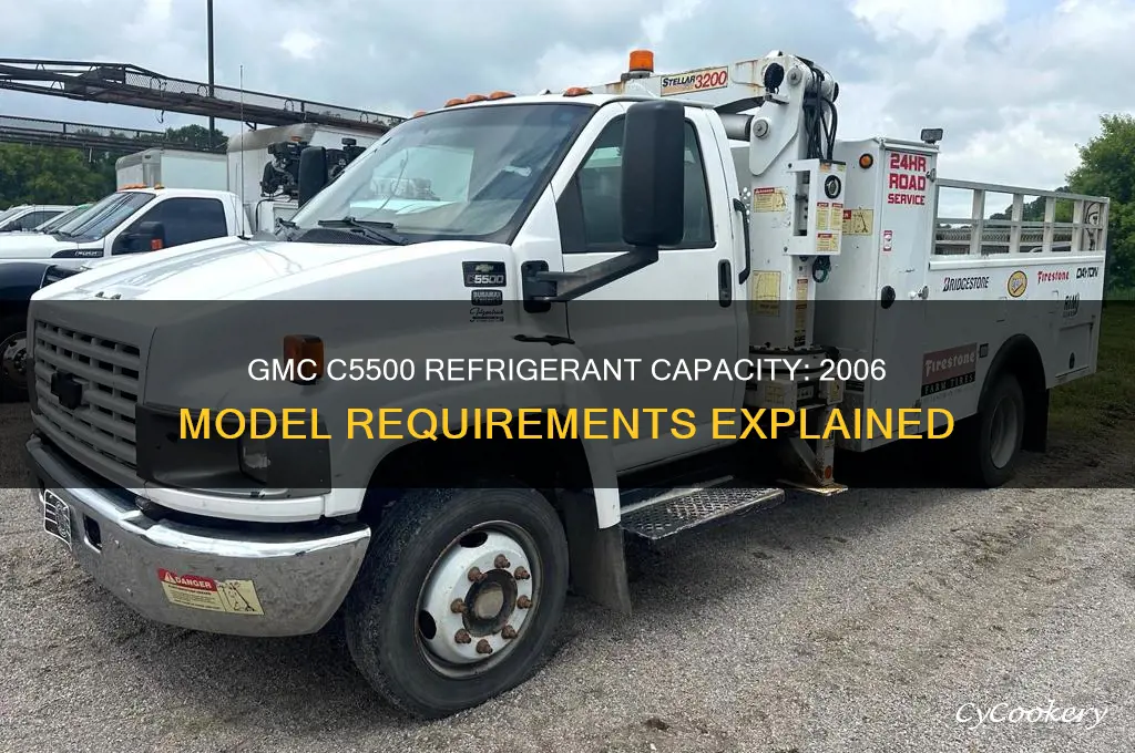 how much refrigerant does a 06 gmc c5500