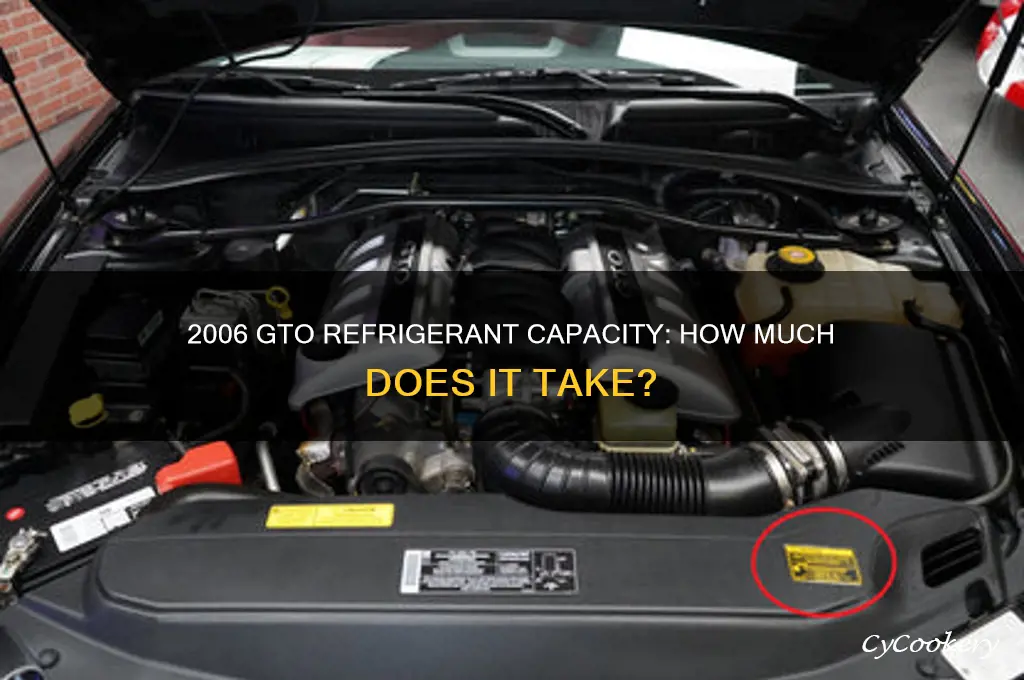 how much refrigerant does a 06 gto take