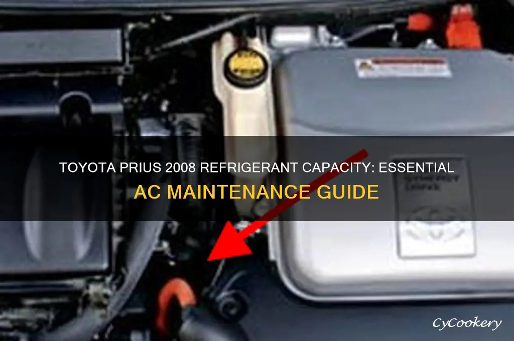 how much refrigerant does a 08 toyota prius take
