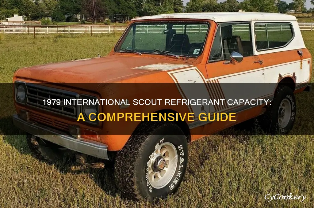how much refrigerant does a 1979 international scout take