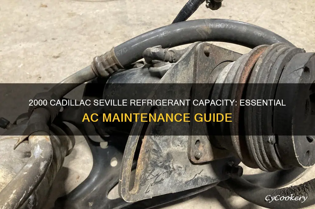 how much refrigerant does a 2000 cadillac seville take