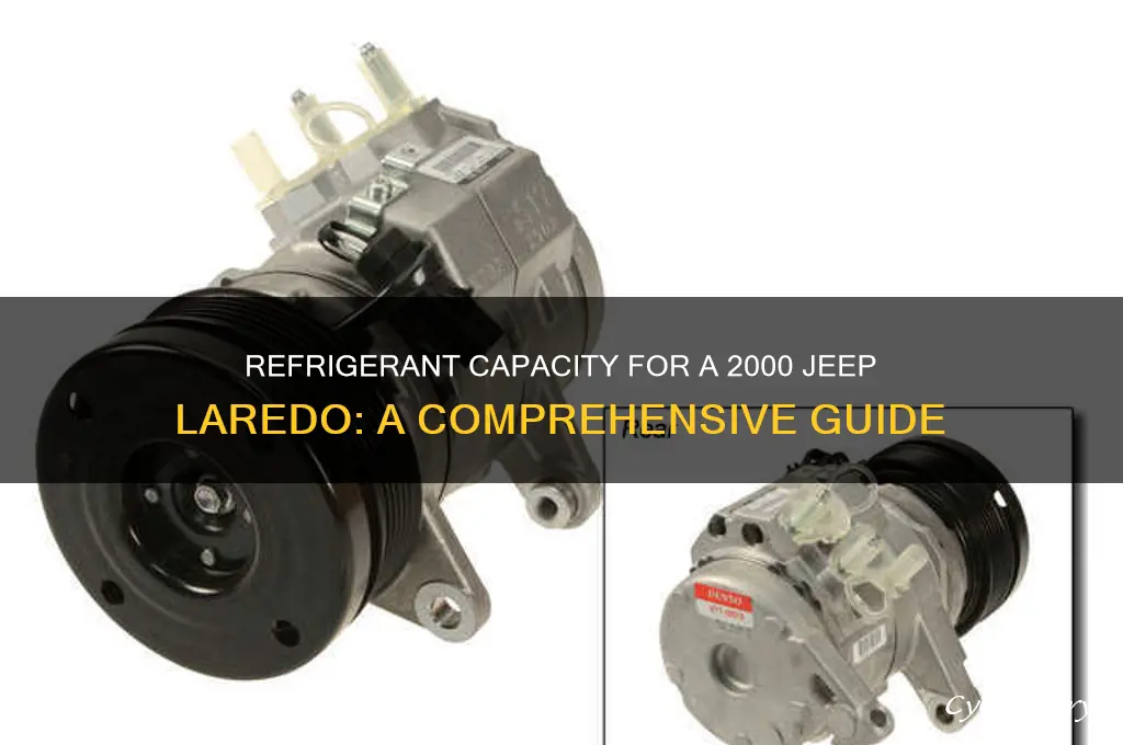 how much refrigerant does a 2000 jeep laredo old
