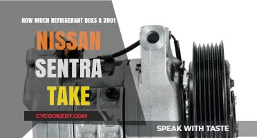 2001 Nissan Sentra Refrigerant Capacity: Essential AC Maintenance Guide