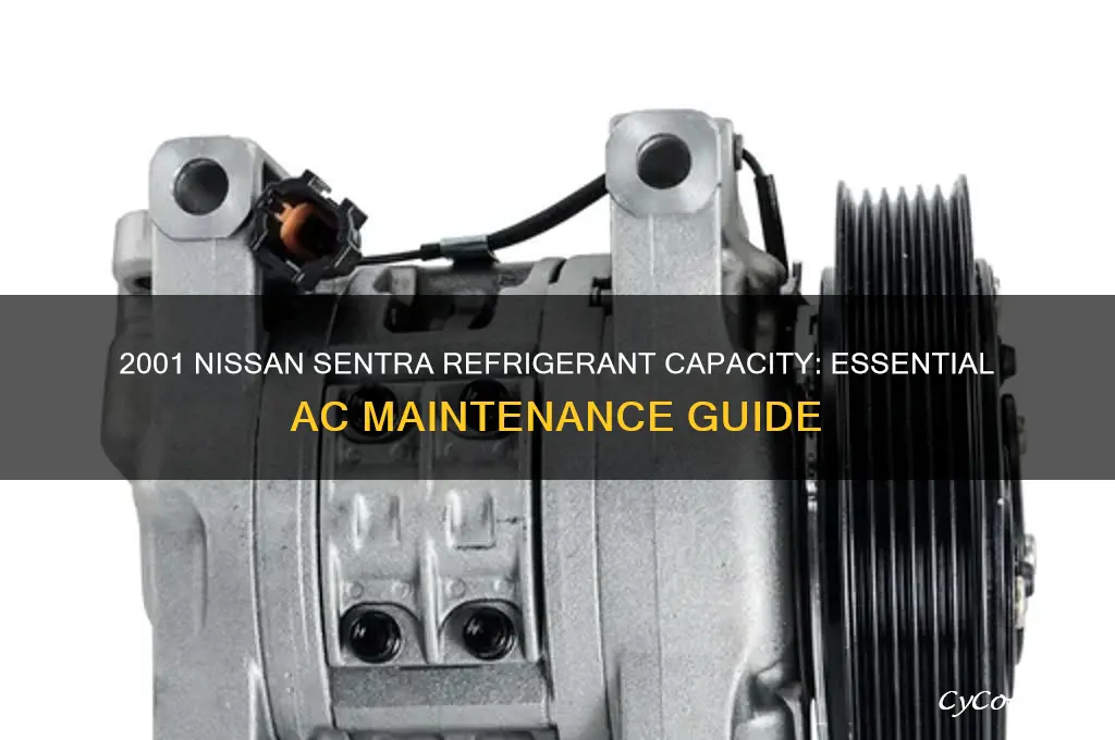 how much refrigerant does a 2001 nissan sentra take