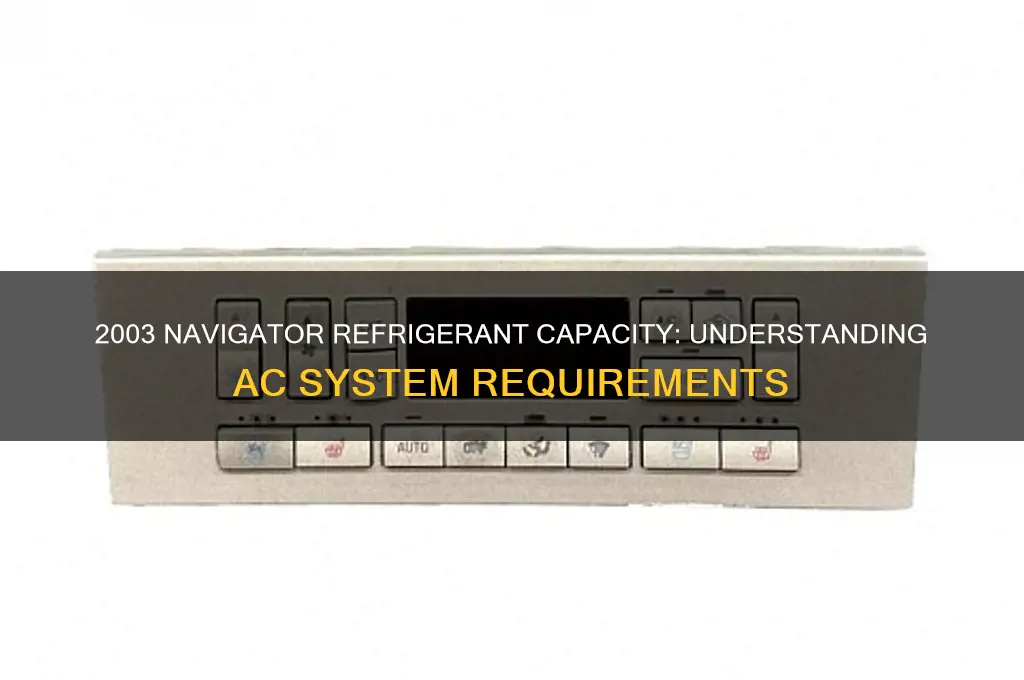 how much refrigerant does a 2003 navigator hold