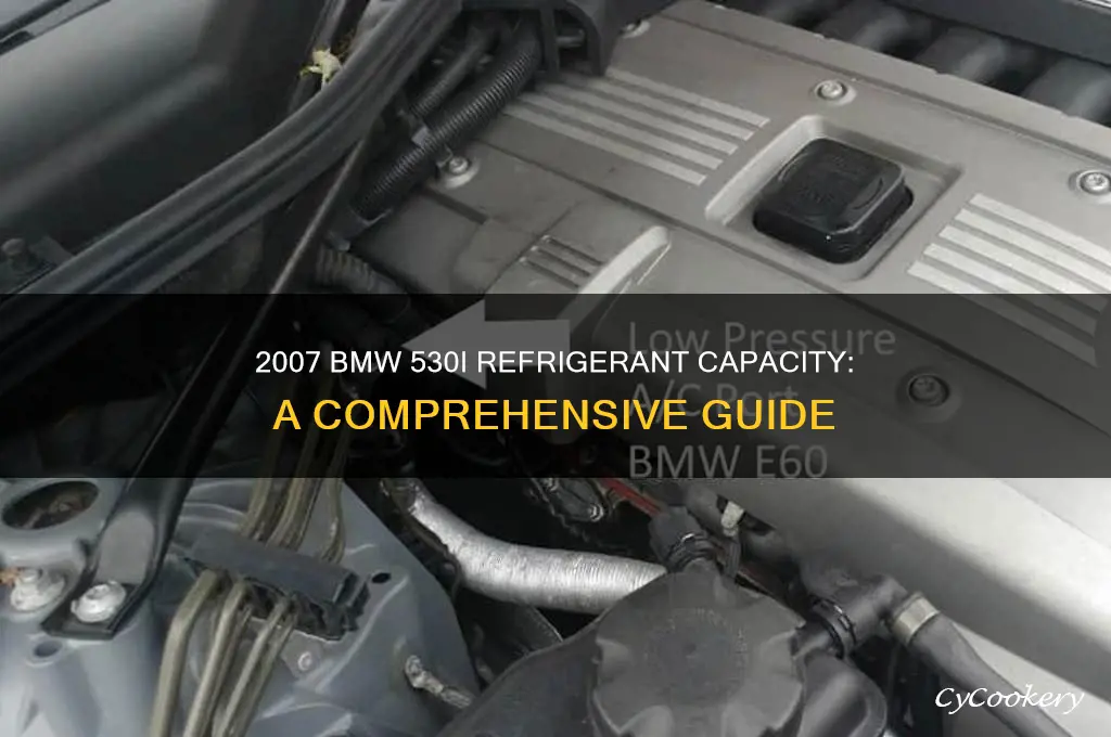 how much refrigerant does a 2007 bmw 530i take