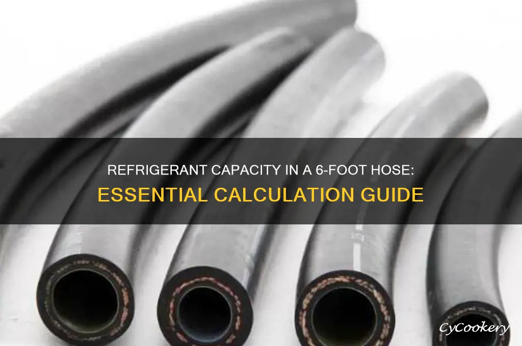 how much refrigerant does a 6 foot hose hold