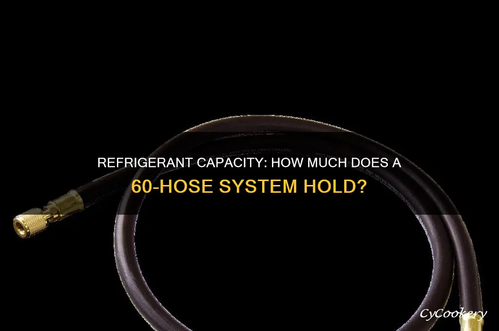 how much refrigerant does a 60 hose hold