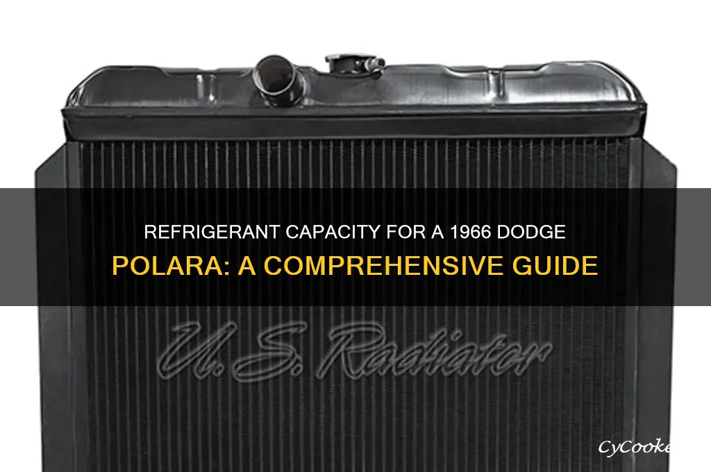 how much refrigerant does a 66 polara take