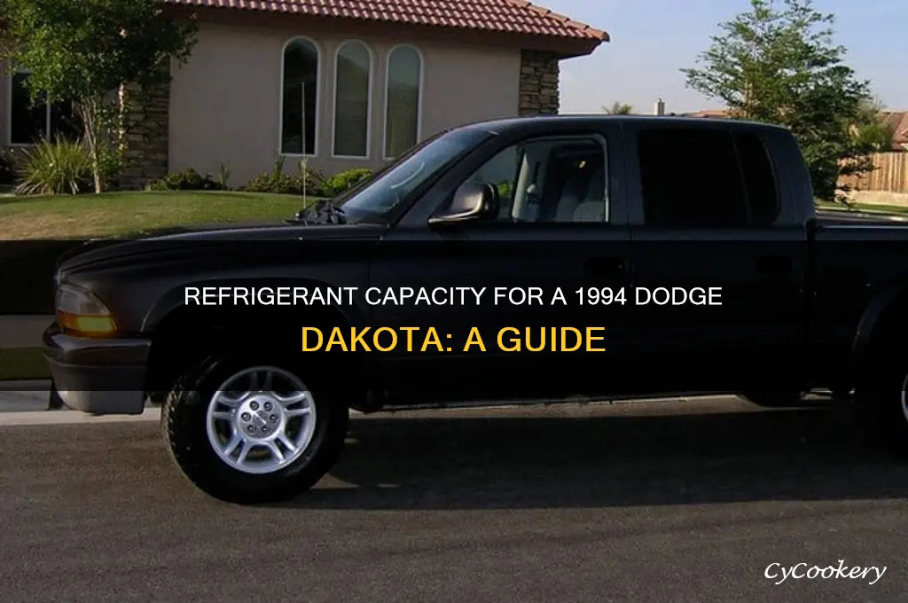 how much refrigerant does a 94 dodge dakota take