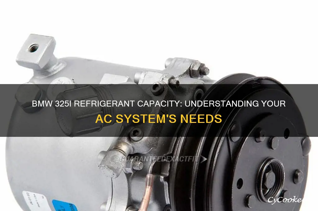 how much refrigerant does a bmw 325i