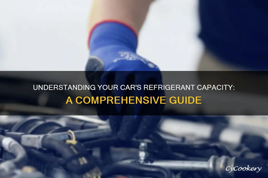 how much refrigerant does a car hold