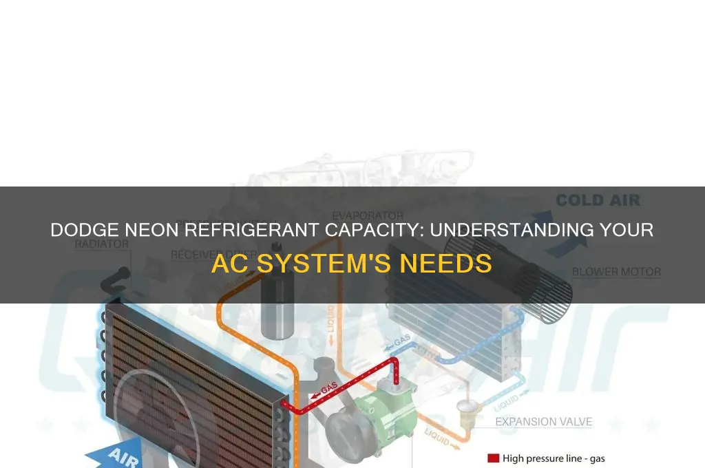 how much refrigerant does a dodge neon hold