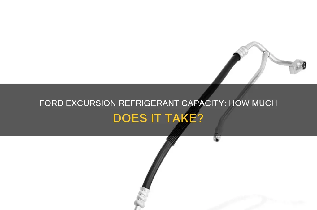 how much refrigerant does a ford excursion take
