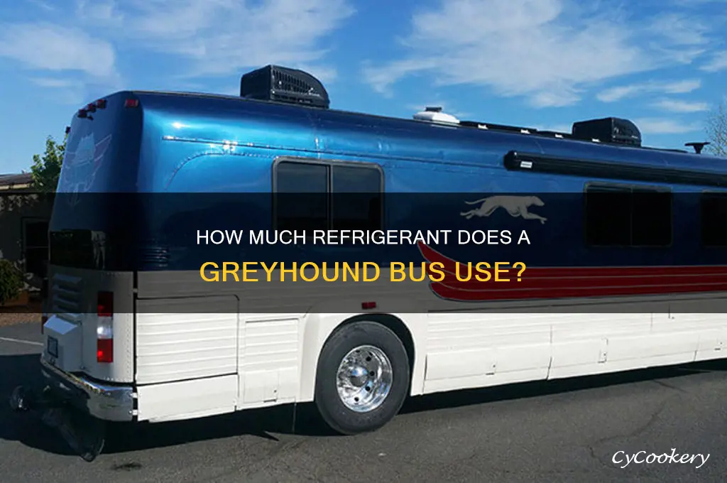 how much refrigerant does a grayhound bus use