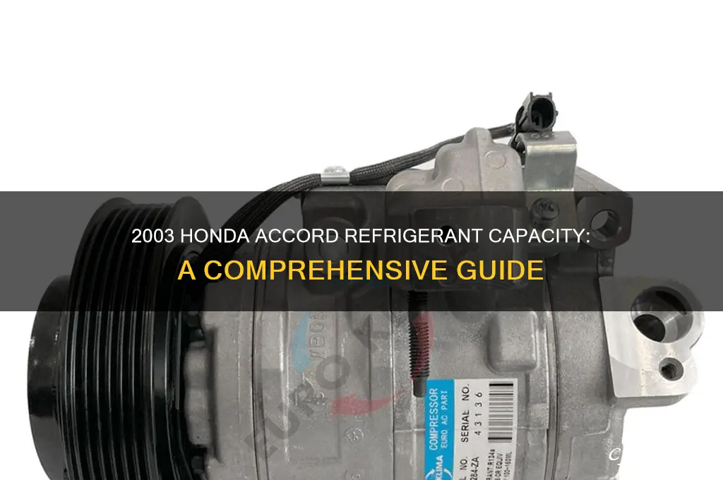 how much refrigerant does a honda accord 2003 hold
