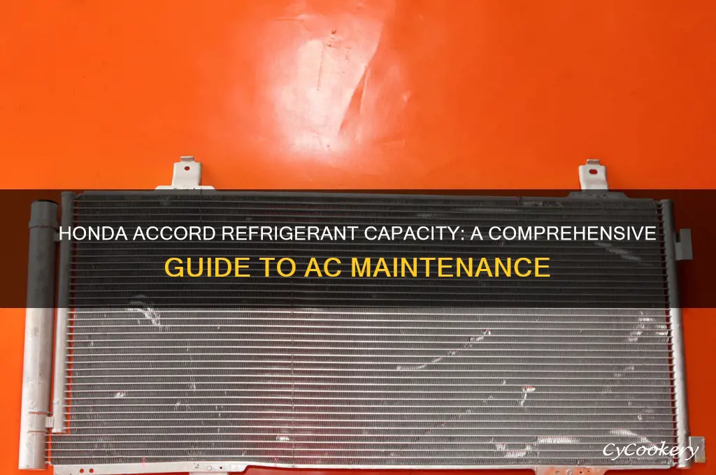how much refrigerant does a honda accord take
