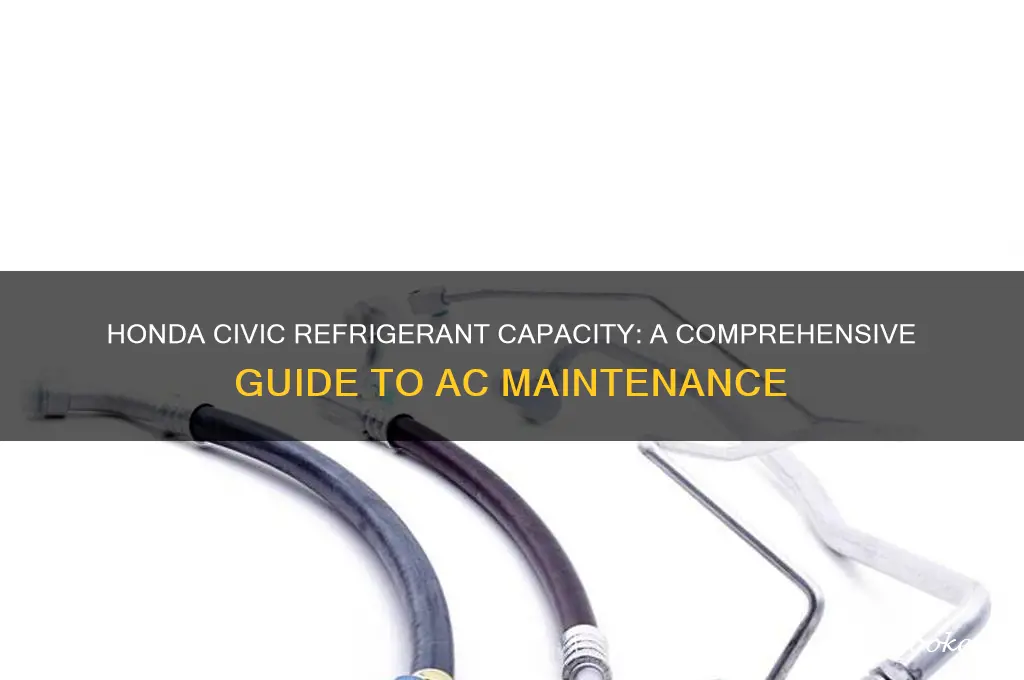how much refrigerant does a honda civic take